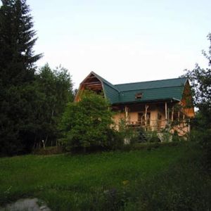Portfolio Image
